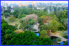 Botanic Garden - view from balcony