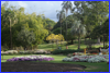 Brisbane City Botanic Garden