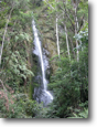 Andes - east slope cloud forest