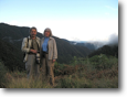 Andes cloud forest