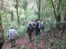 On the trail at Intervales State Park