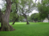 Kapiolani Park, O'ahu