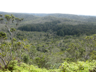 Alakai Wilderness, Kaua'i