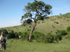 Masai Mara 