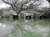 Flooded camp at Lake Baringo