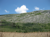 Landscape at Drogoman Marsh