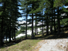 Road in Pirin Mountain