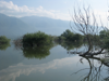 Lake Kerkini - Greece