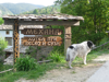 Bobby and his Kovachevitsa Guesthouse