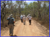 Mareeba Wetlands - on the trail.