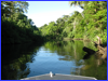 On the Daintree River