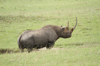 Masai Mara