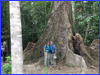 David, Carol and a Penda Tree