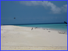 Michaelmas Cay