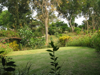 View from our terrace at Maekok Village Resort