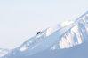 White Stork over Rila Mountains, Bulgaria