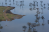 Flooded Lake Nakuru 