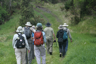 Hakalau Forest NWR, The walk in.