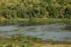 Lake near Burgas