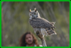 Sonora Desert Museum - Great Horned Owl