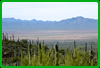 View from Sonora Desert Museum