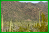 Saguaro National Park (West)