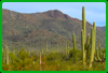 Saguaro National Park (West)