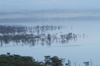 Flooded Lake Nakuru 