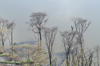 Flooded Lake Nakuru 