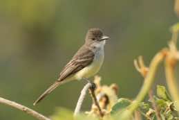 Itatiaia National Park<br/>Brazil