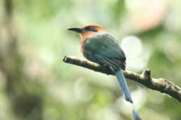 Silanche Reserve<br/>Ecuador