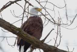 Starved Rock State Park<br/>Illinois