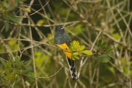 Fazenda Angelim<br/>Ubatuba, Brazil